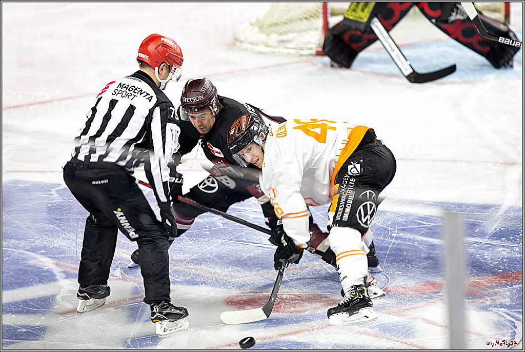 PENNY DEL;  Koelner Haie - Grizzlys Wolfsburg; Koeln, 29.01.2021